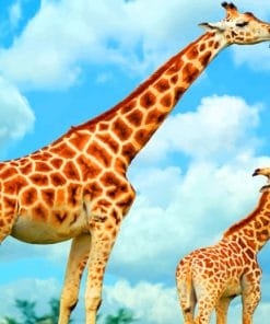 Tall Giraffes Paint By Numbers
