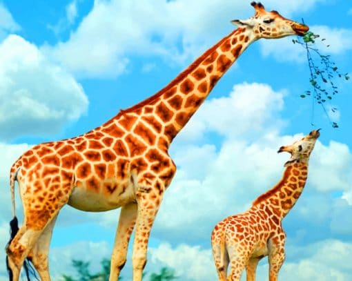 Tall Giraffes Paint By Numbers