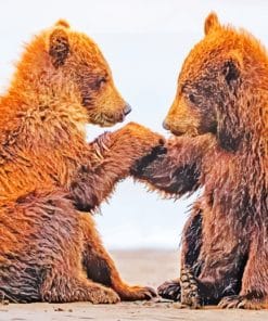 Two Baby Bears On Beach paint by numbers