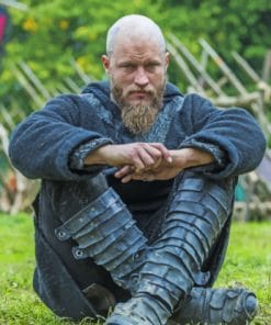 Vikings King Ragnar paint by numbers