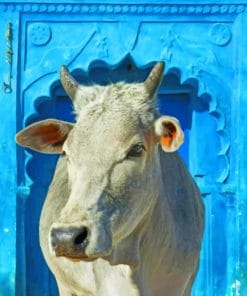 White Cow Paint By Numbers