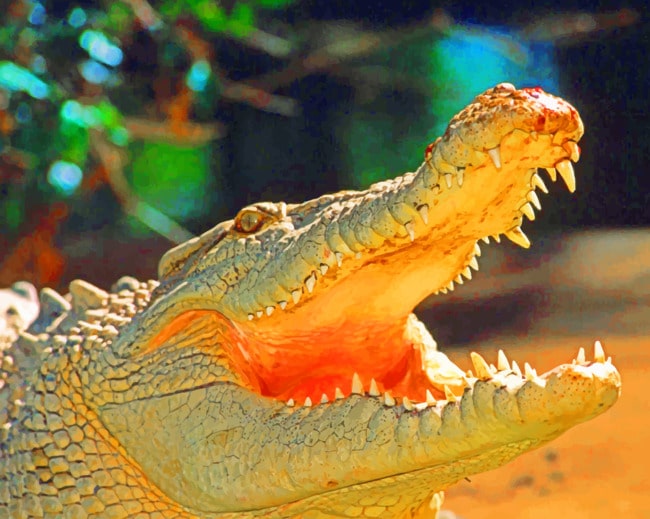 Wild Alligator With Opened Mouth paint by numbers