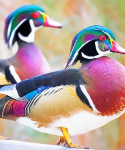 Wood Ducks paint by numbers
