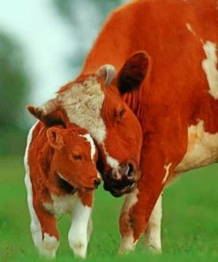 Beautiful Cow And Calf paint by numbers