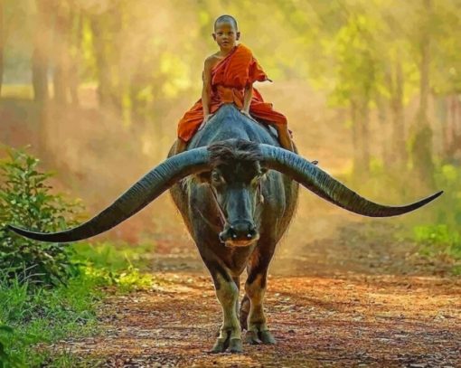 Boy Monk Riding Buffalo paint by numbers