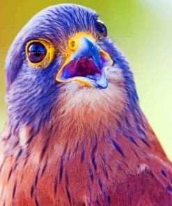 Brown And Purple Bird paint by numbers