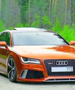 Brown Audi Sport Car paint by numbers