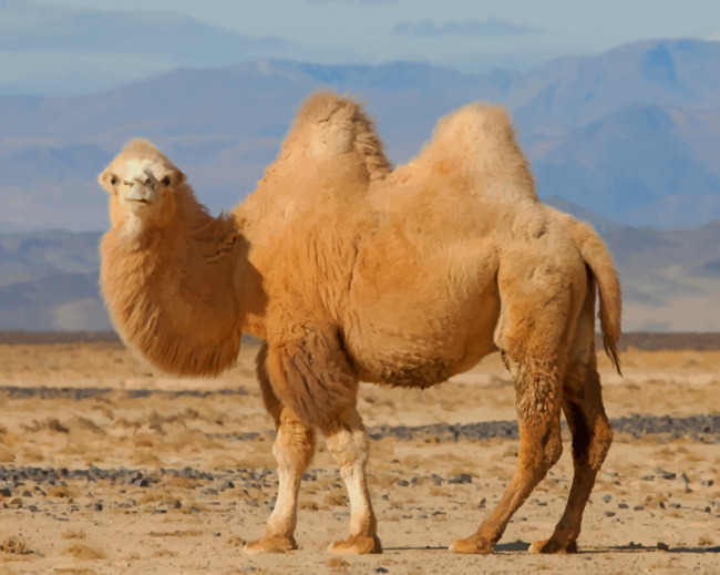 Brown Desert Camel paint by numbers