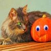 Cat With Jack O Lantern paint by numbers