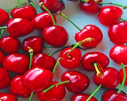 Sweet Cherry paint by numbers