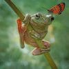 Cute Frog And Butterfly paint by numbers