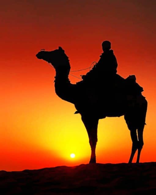 Person Riding A Camel painting By Numbers