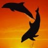 Dolphins Jumping In The Sunset paint by numbers
