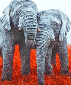 Two Elephants paint by numbers