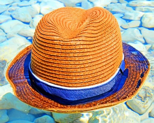 Hat In Water Stones paint by numbers