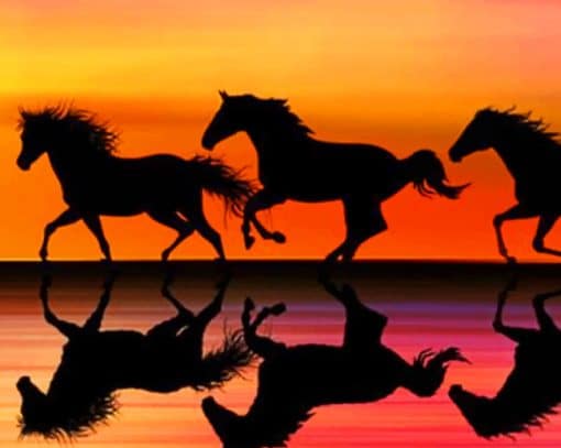 Horses Galloping In The Sunset paint by numbers