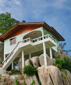 House On Tropical Rock paint by numbers
