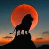 Lion Sunset paint by nnumbers