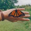 Monarch Butterfly On Hand paint by numbers