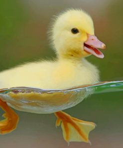 New Born Duck In Swim paint by numbers