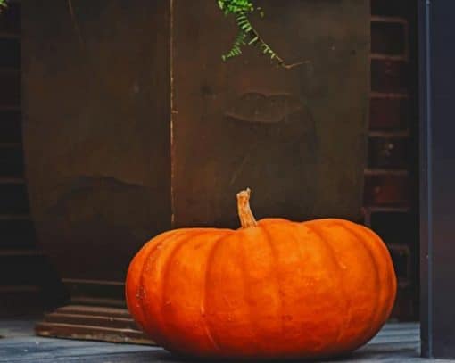 Pumpkin Sat On The Top Step Of Porch paint by numbers