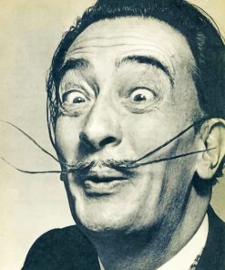 Salvador Dalí paint by numbers