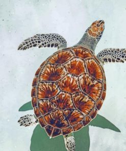 Sea Turtle In The Beach paint by numbers