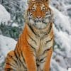 Siberian Tiger In The Snow paint by numbers
