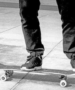 Skateboard In Black And White paint by numbers