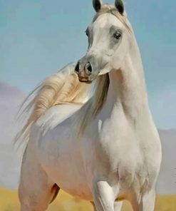 Stallion Horse paint by numbers
