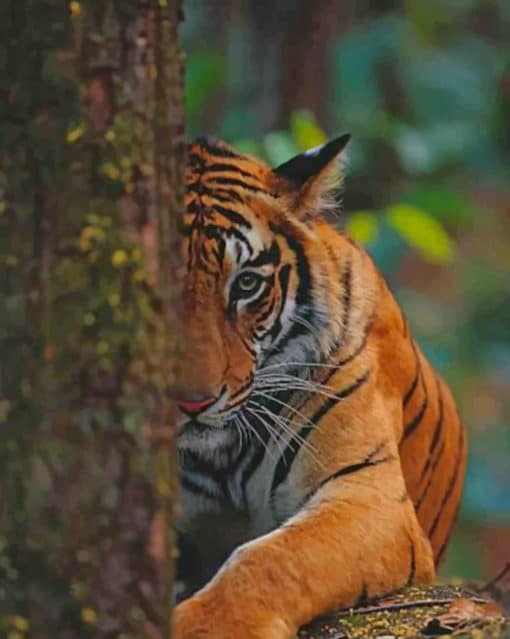 Tiger In The Forest paint by numbers