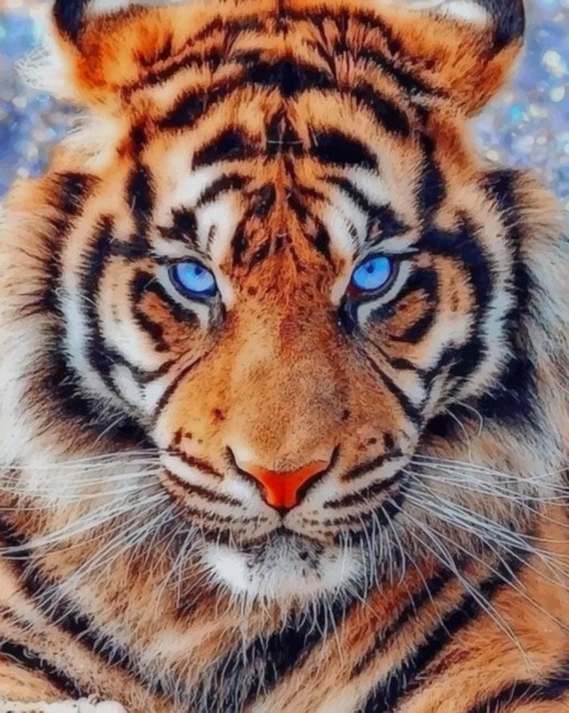 Tiger With Blue Eyes - Animals Paint By Numbers - Modern Paint by numbers