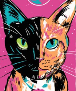 Two Faced Cat Illustration paint by numbers