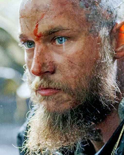 Vikings Ragnar paint by numbers