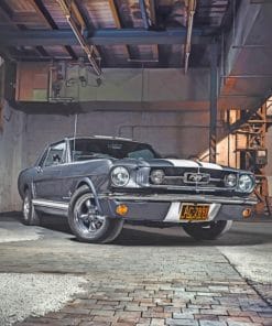 1965 Ford Mustang Coupe Paint by numbers