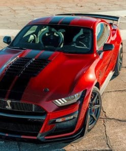 2020 Ford Mustang Shelby GT50 paint by numbers