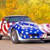 American Flag Car paint by numbers