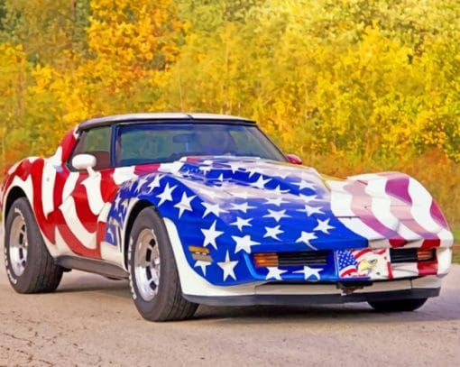 American Flag Car paint by numbers
