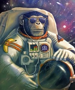 Astronaut Monkey paint by numbers