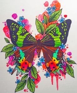 Butterfly Art paint by numbers