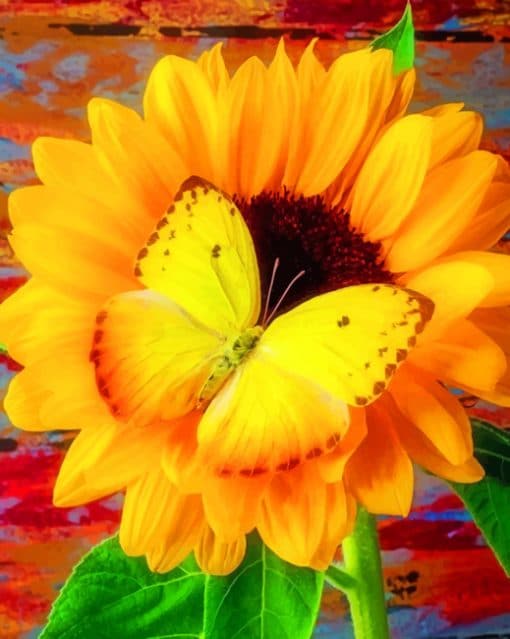 Butterfly With Sunflower paint By Numbers