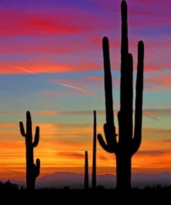 Cactus Plants Silhouette paint by numbers