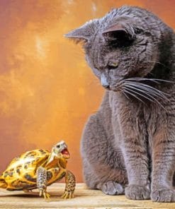 Cat And Turtle paint by numbers