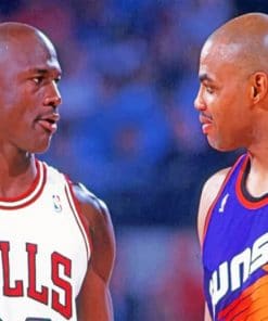 Charles Barkley And Michael Jordan paint by numbers
