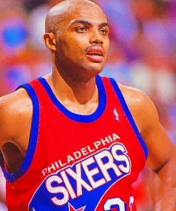 Charles Barkley Paint by numbers