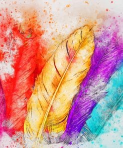 Colorful feathers paint by numbers