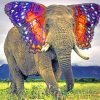 Aesthetic Elephant paint By Numbers