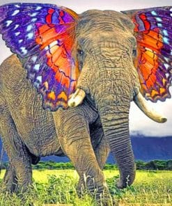 Aesthetic Elephant paint By Numbers