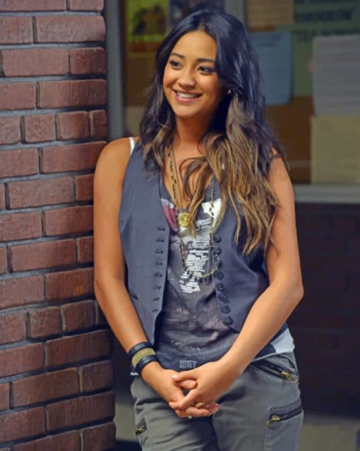 Emily Fields Character Paint by numbers