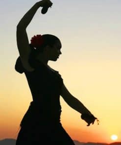 Flamenco Dancer Silhouette paint by numbers